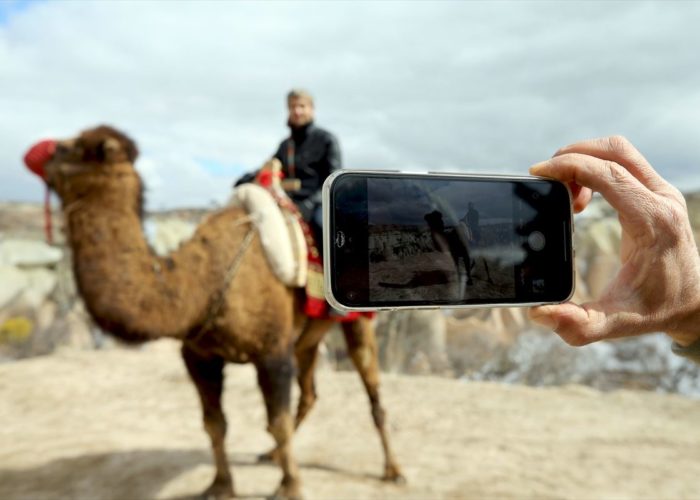 Сафари не верблюдах в Каппадокии