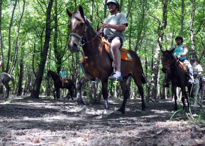 Прогулка на лошадях в Бодруме