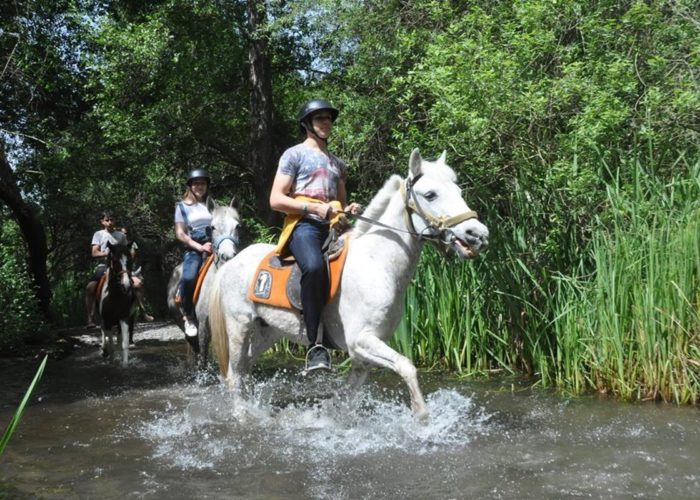 Сафари на лошадях в Кемере